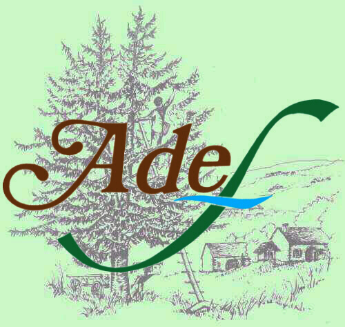 LogoAdef